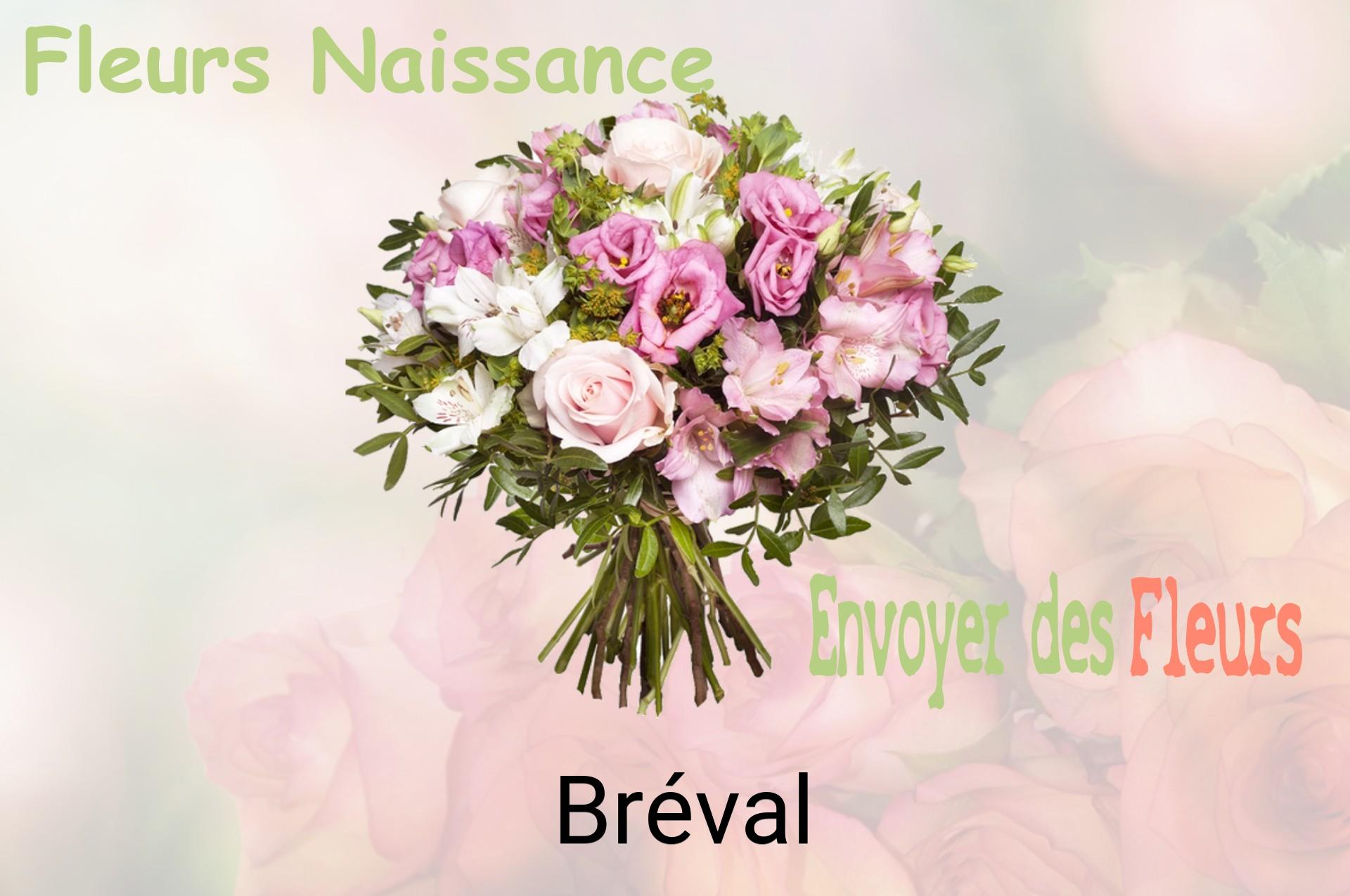 Bouquet de fleurs de naissance livré à Bréval